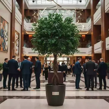 Аренда Искусственный Фикус Бенджамина в Mövenpick Hotel — ART SPACE