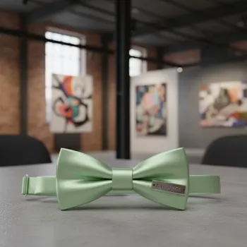 Аренда Бабочка официанта салатовая в Mercure Сочи Центр — ART SPACE