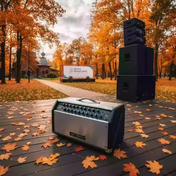 Аренда Усилитель Ampeg SVT 3Pro 7 в этно-парке «Моя Россия» — ART SPACE