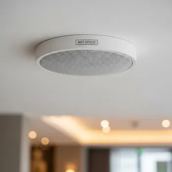 Аренда Акустическая система встраиваемая Tannoy iw 6TDC белая в Bridge Resort — ART SPACE