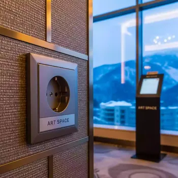 Аренда Розетка с заземлением Schneider Electric Глосса в отеле Hyatt Regency Sochi — ART SPACE