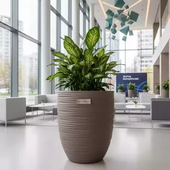 Аренда Кашпо Prosperplast Sandy 37 18 л мокко в Mercure Сочи Центр — ART SPACE