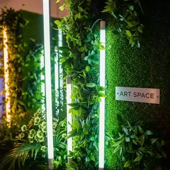 Аренда Фитосветильники LED в Гранд Отель Поляна — ART SPACE