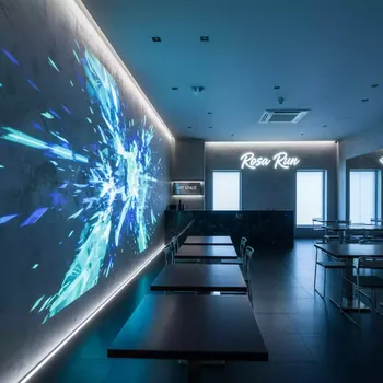 Аренда Проектор Panasonic PT RQ35KE в ресторане «Баран-Рапан» — ART SPACE