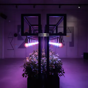 Аренда Фитолампа для растений Jazzway 9 Вт E27 LED красно синий спектр в Mercure Сочи Центр — ART SPACE