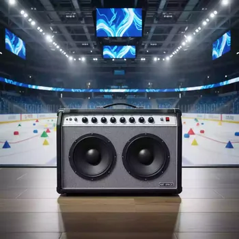 Аренда Усилитель Fender 65 Twin Reverb в ледовой арене «Шайба» — ART SPACE