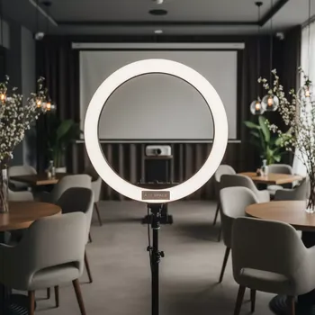 Аренда Прожектор Ring FD 480II в ресторане «Баран-Рапан» — ART SPACE