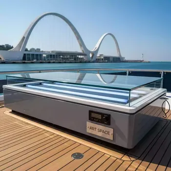 Аренда Экспокамера TIC EUV 300 на VIP теплоходе (Морпорт Сочи) — ART SPACE