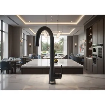 Аренда Смеситель для кухни FLUMEN DESIGN Rimini черный в Novotel Resort — ART SPACE