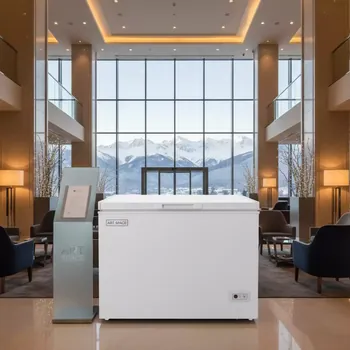 Аренда Морозильный ларь 215 л в Sochi Marriott Krasnaya Polyana — ART SPACE