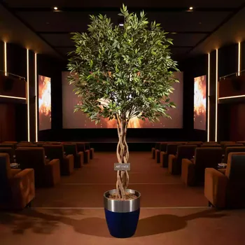 Аренда Растение искусственное фикус Бенджамина 170 см в отеле Radisson Lazurnaya — ART SPACE