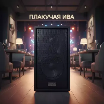 Аренда Акустическая система Nexo PS 15 R2 пассивная АС в ресторане «Плакучая Ива» — ART SPACE