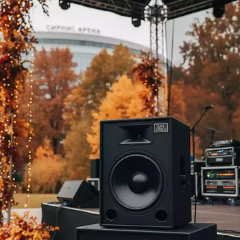 Аренда Акустическая система Nexo PS 15 Bass в Сириус Арене — ART SPACE