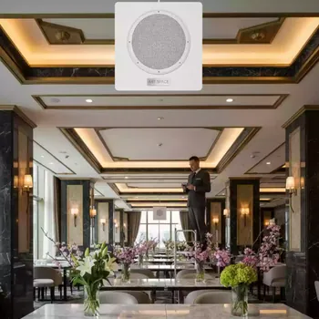 Аренда Акустическая система встраиваемая DALI PHANTOM H 50 белая в ресторане «Brunello» — ART SPACE