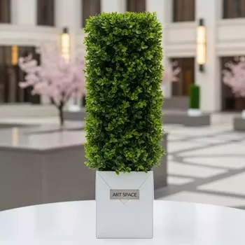 Аренда Самшит 50 см 6022 в отеле Radisson Lazurnaya — ART SPACE