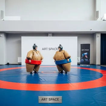 Аренда Аттракционы борьба сумо на мероприятие в ледовой арене «Шайба» — ART SPACE