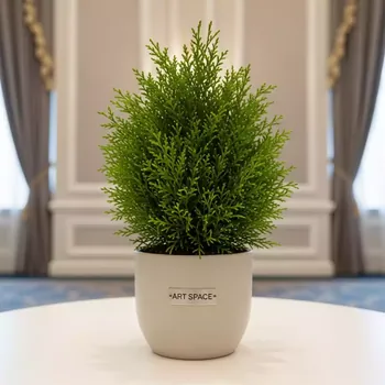 Аренда Туя декоративная H 46 см в отеле Radisson Lazurnaya — ART SPACE