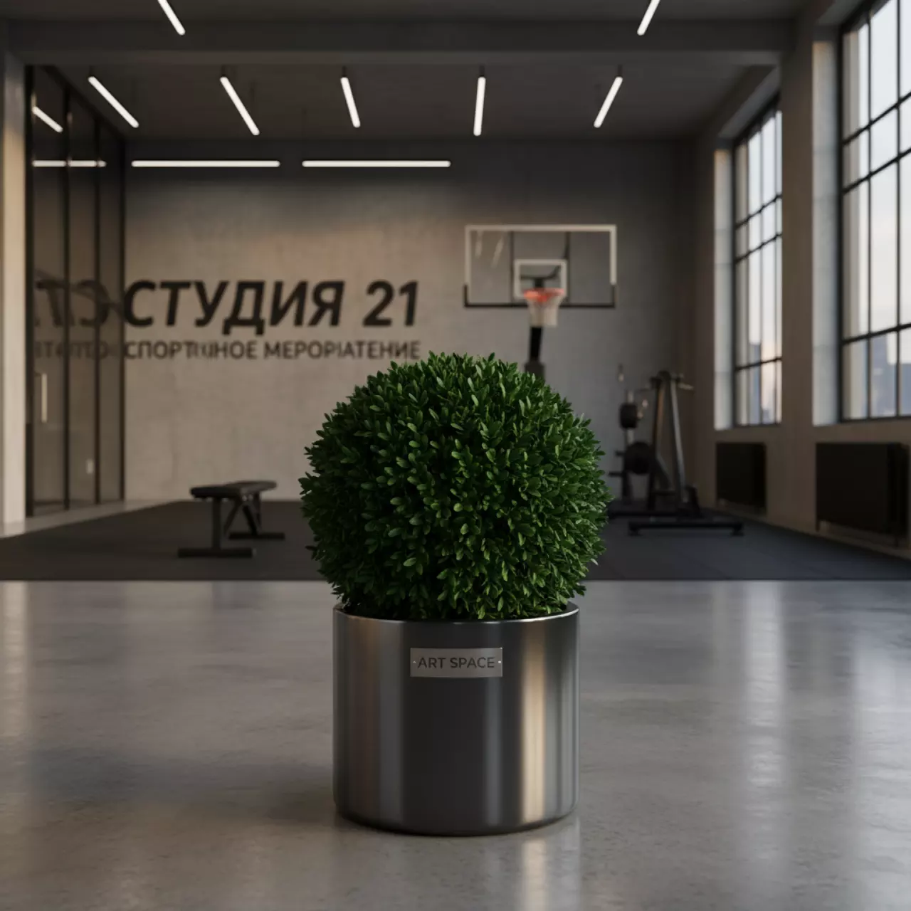 Аренда Самшит 40 см в лофте «Студия 21»